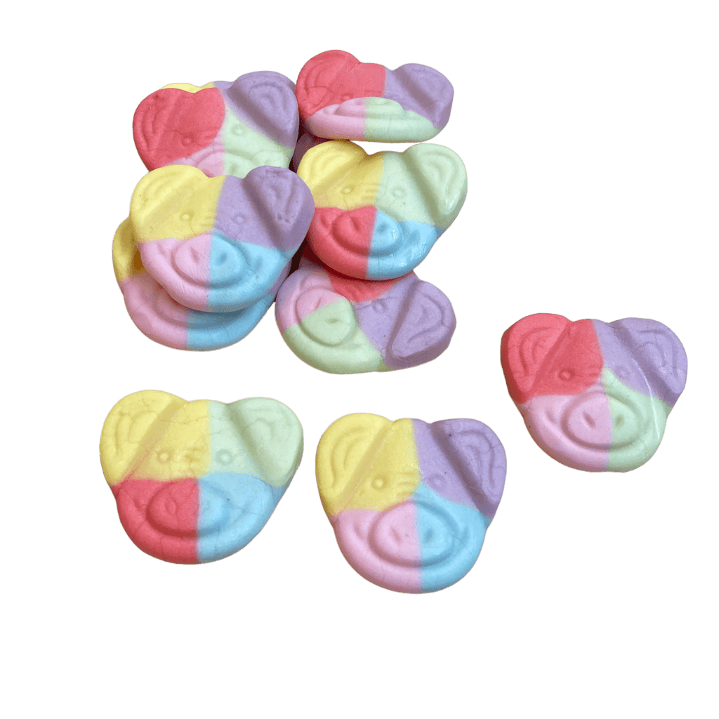Rainbow Pigs Vegan