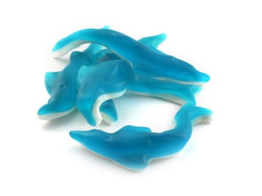 Dolphins
